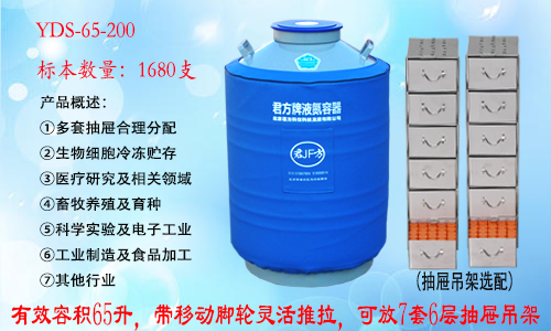 YDS-65-200 液氮罐