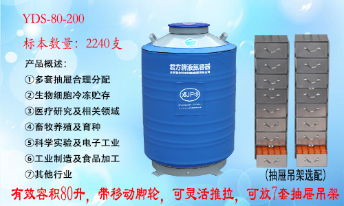 YDS-80-200 液氮罐